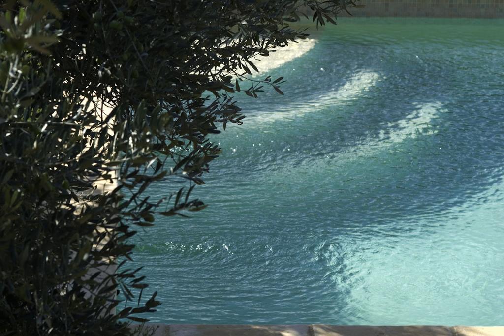 コティニャック Mas De L'Olivette Bed & Breakfast エクステリア 写真
